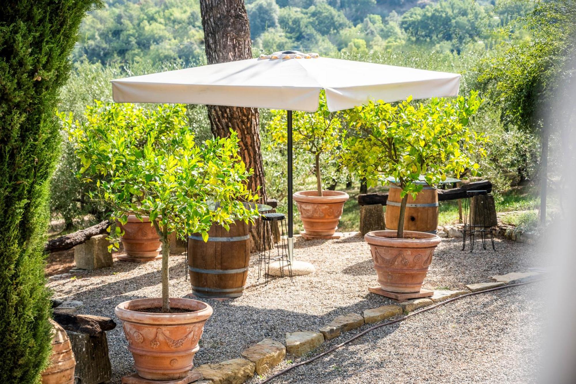 Villa Savignola Paolina Greve in Chianti Exterior foto